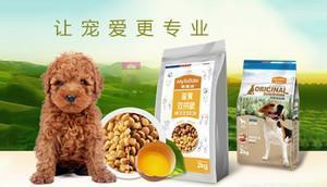 中國十大寵物食品品牌榜中榜 科學喂養(yǎng)，從選對主糧與零食開始