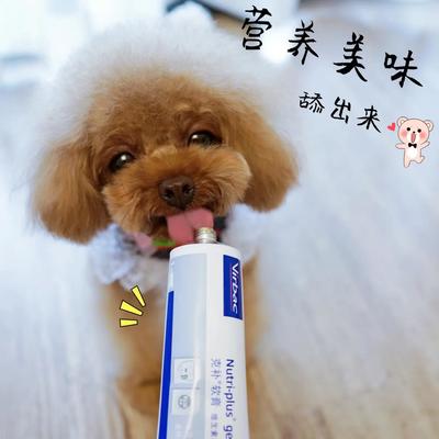 專業(yè)高效，合規(guī)清關(guān) 荷蘭寵物魚油膠囊進(jìn)口報關(guān)全程指南