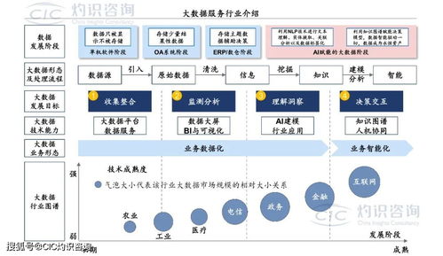 《中國商業(yè)大數(shù)據(jù)服務(wù)行業(yè)藍(lán)皮書》發(fā)布 洞見未來，數(shù)據(jù)賦能社會經(jīng)濟(jì)咨詢新篇章